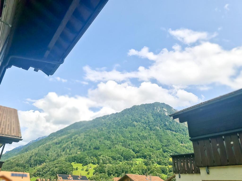 Sofia Apartment - Aare Jungfrau Ag Wilderswil Buitenkant foto